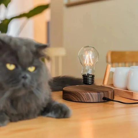 Floating LED Bulb: Magnetic Levitation Lamp for Home or Office Décor