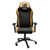 Ergonomic Racing Style Gaming Chair - Golden