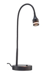 Matte Black Metal LED Adjustable Desk Lamp - Fort Decor