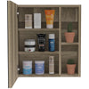 Andes Medicine Cabinet With Mirror Weathered Oak - Fort Decor