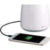 Desk Lamp - LED - White, Green - Desk Mountable - Fort Decor